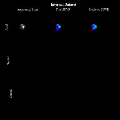 CoCoLIT-preview.gif
